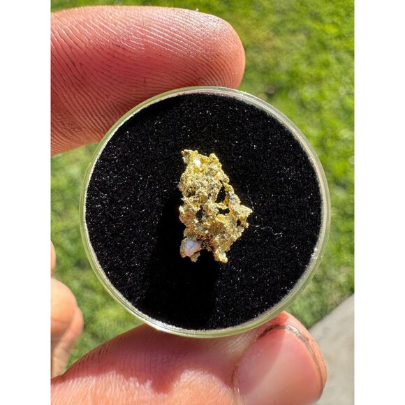 California Native Gold Crystal - 0.80 grams - Picture 2 of 6